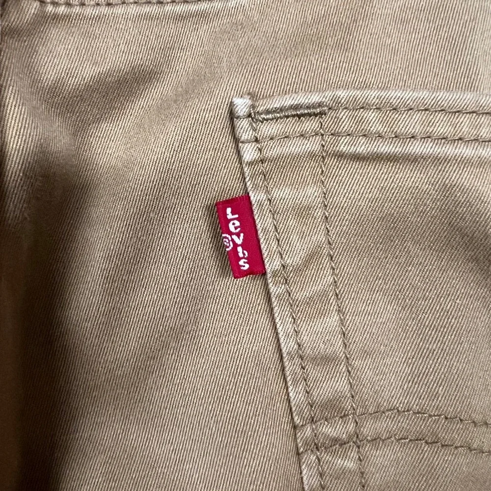 Levis levi 541